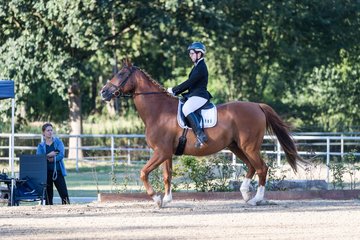 Bild 5 - Pony Akademie Turnier